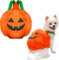 Orange plush pumpkin Halloween costume on a small dog, showing pullover design and fluffy material.