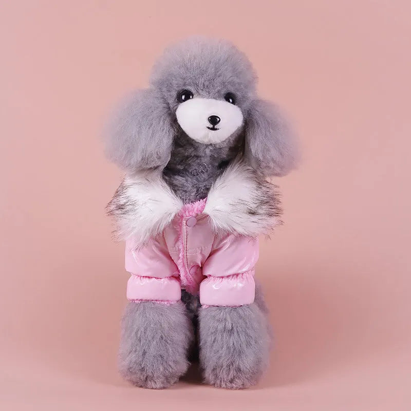 Blue British style cotton dog jacket for winter wear on medium-sized dog