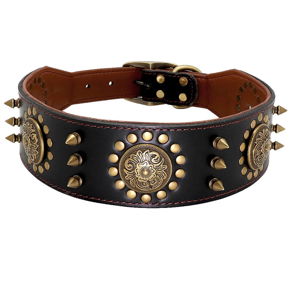 Brown real leather stud dog collar with metal anti-bite spikes fitted on a large pitbull dog