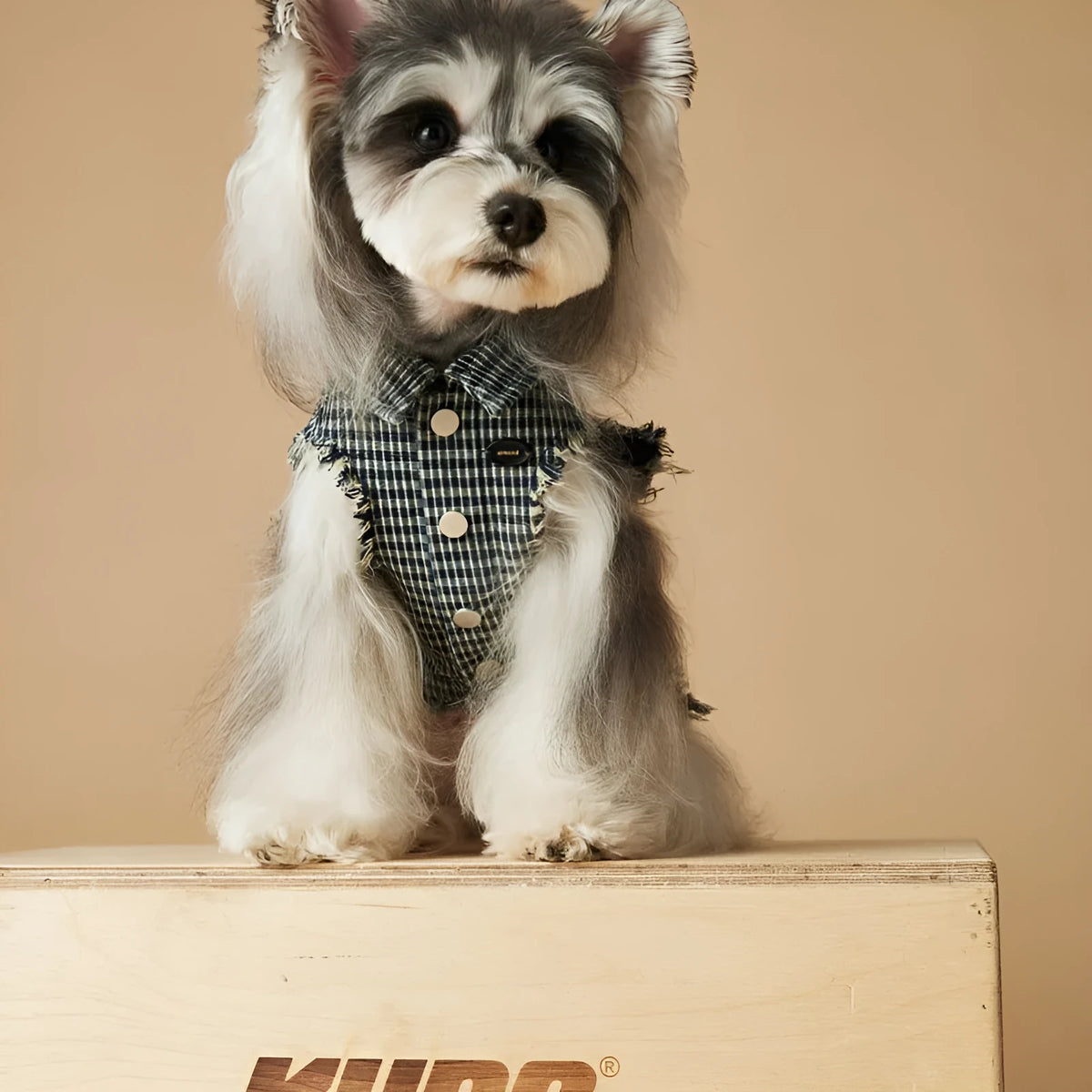 Blue washed old plaid sleeveless denim dog vest in cotton, sizes XS to XXL, spring autumn pet clothing