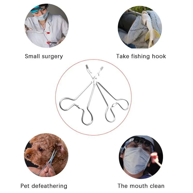Silver stainless steel pet grooming tweezers for ear hair removal and cleaning, showing curved and straight tip designs.