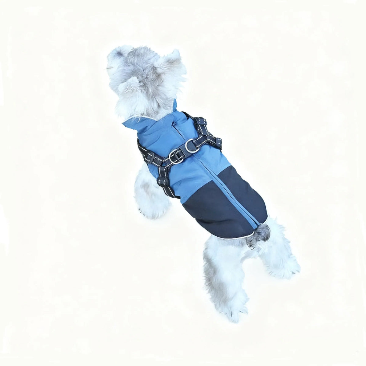 Waterproof polyester pet clothing in army green, red, and sapphire blue for dogs and cats