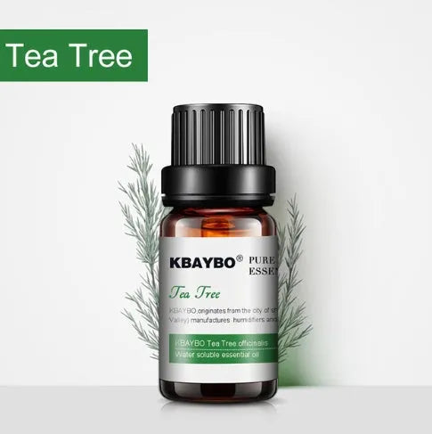 Six 10ml essential oil bottles lavender lemongrass tea tree peppermint rosemary orange for aromatherapy