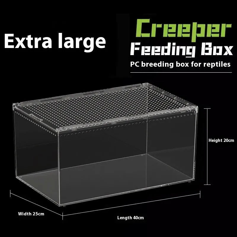 Clear acrylic reptile feeding box with crawl-through opening showing size options