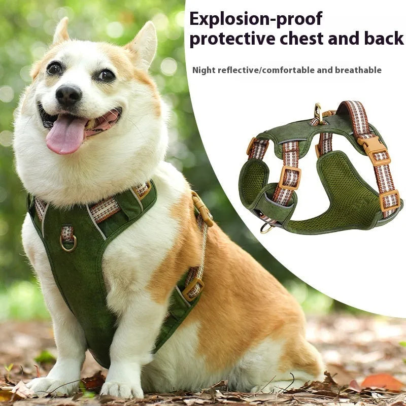 Brown leather dog harness with reflective strips and adjustable chest straps for walking safety