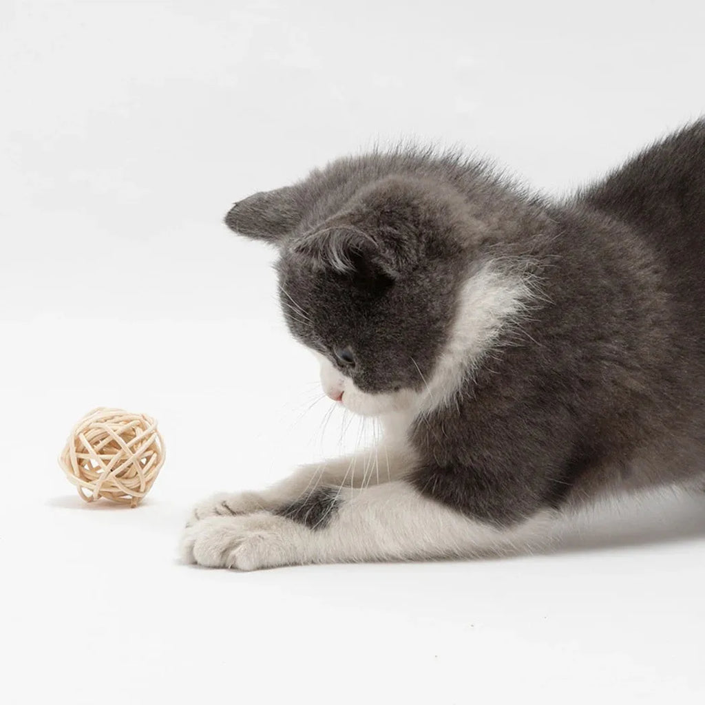 Primary colour cat toy set showing hollow rattan ball and faux feather bell ball on wooden floor