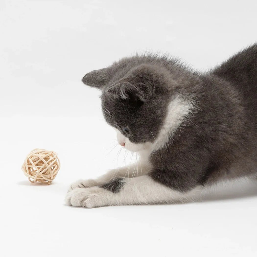 Primary colour cat toy set showing hollow rattan ball and faux feather bell ball on wooden floor
