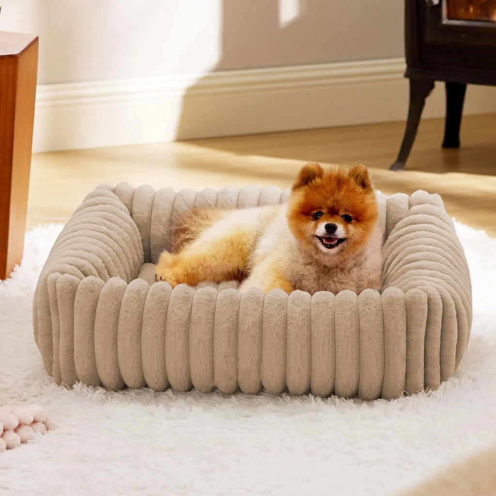 Beige plush pet bed with raised bolster sides for cats and dogs, shown in a home setting.