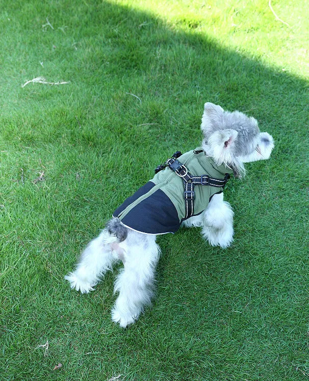 Waterproof polyester pet clothing in army green, red, and sapphire blue for dogs and cats