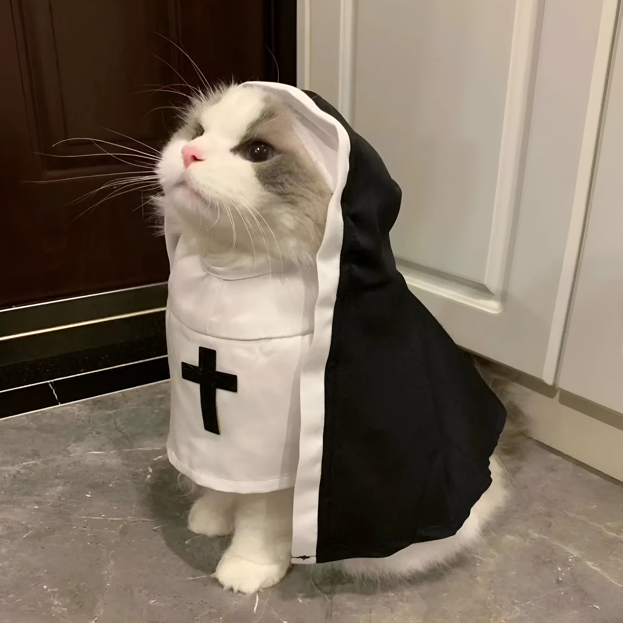 Black and white nun costume for small to medium dogs with polyester cloak