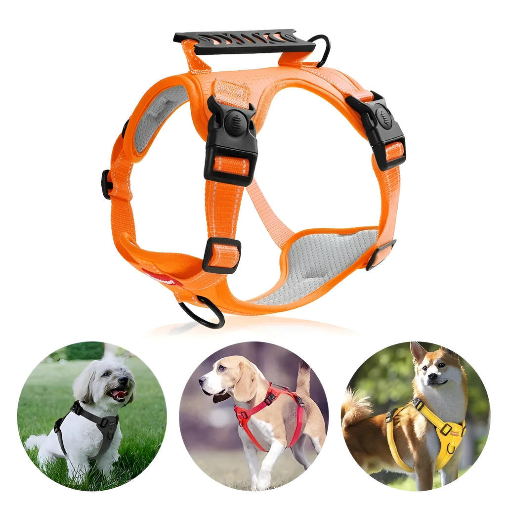 Adjustable polyester dog chest harness and matching lead in red, shown on a dog.