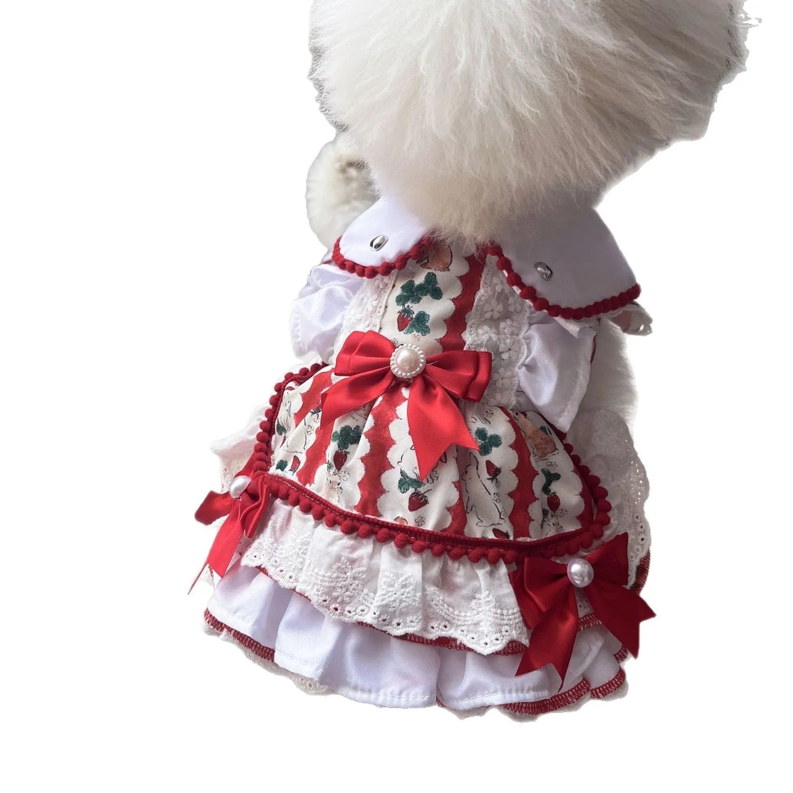 Rabbit-themed princess skirt for a small dog, shown in size M for dogs approx 2.5-3.5kg.