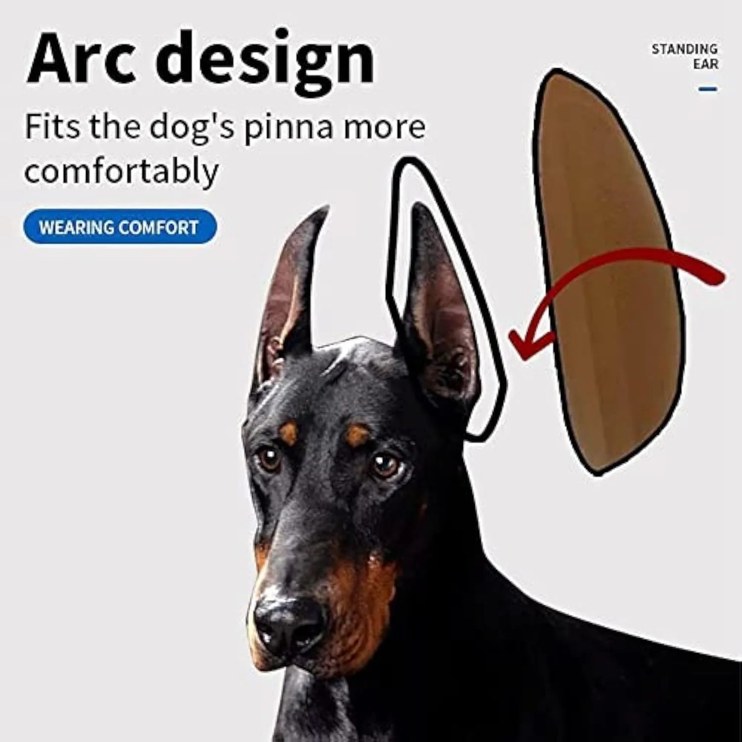 Pack of dog ear support stickers in various sizes for Doberman, Corgi, and Sheltie puppies