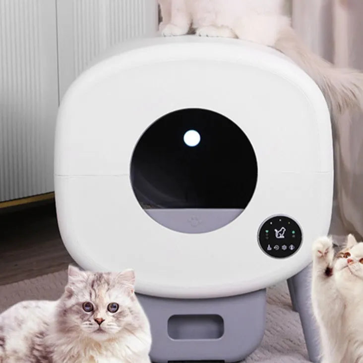White automatic self-cleaning cat litter box with dimensions 550mm wide by 645mm high
