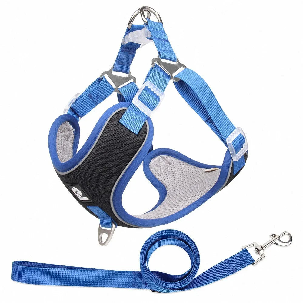 Adjustable mesh dog harness with reflective piping and leash in multiple colour options