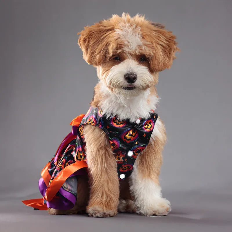 Halloween dog skirt in colourful pumpkin print, double-layer design, shown on a medium-sized dog.