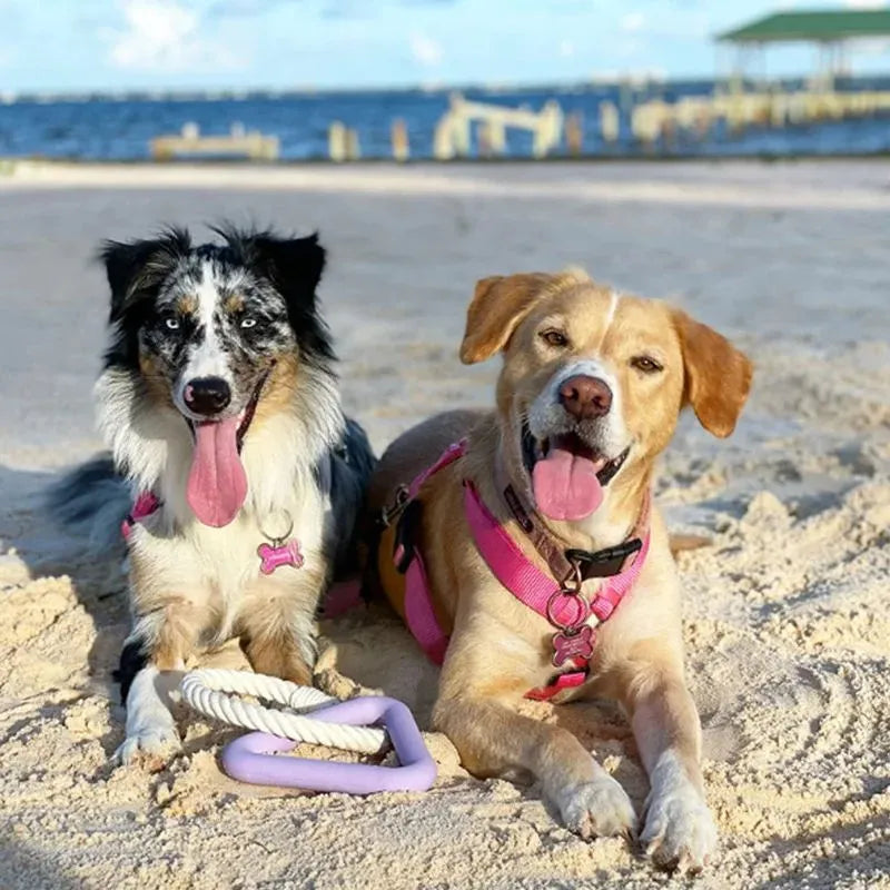 Large triangular pet pull ring toy made from cotton rope in beige, pink, or purple colour.