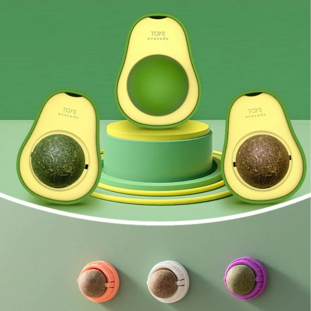 Plastic catnip ball dental toy in multiple colours with bite-resistant construction