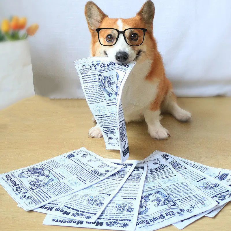 Tearproof squeaking dog toy designed like a newspaper playingcard for corgi and puppy chew play.