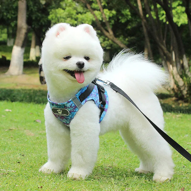 Dog vest traction chest strap in pure cotton, blue ocean colour, sizes XS to XL