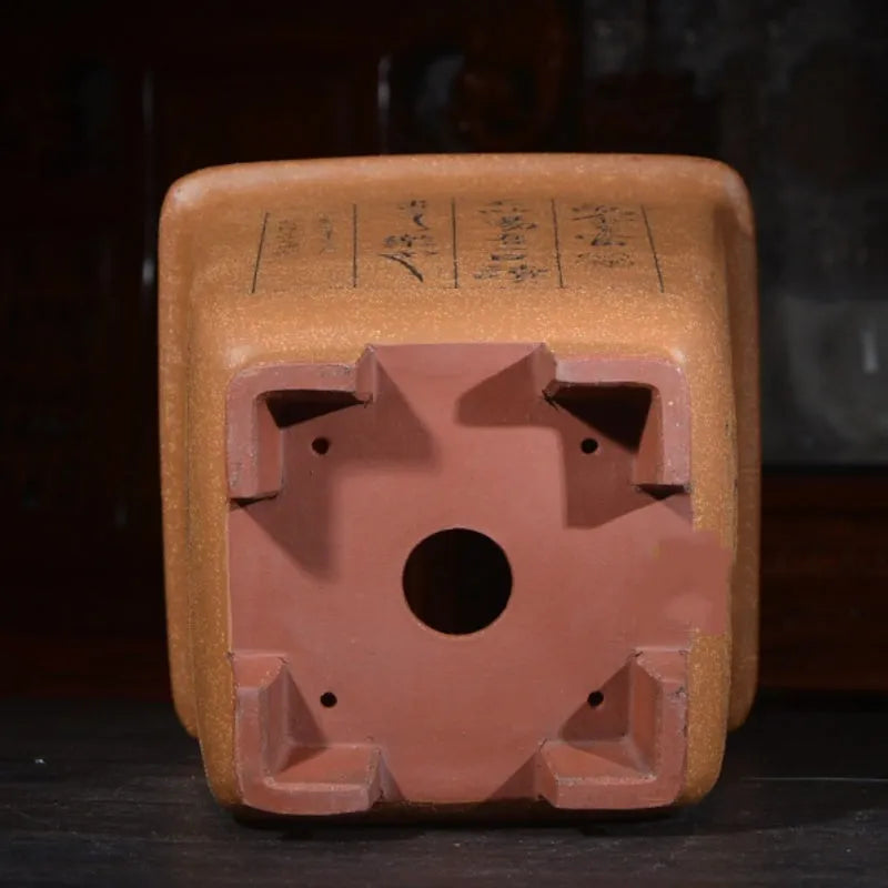 Square purple sand ceramic flower pot with hand-carved detailing for clivia and orchids