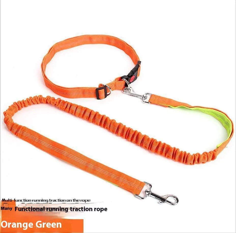 Grey and blue nylon dog leash with reflective filament and 2.5cm width.