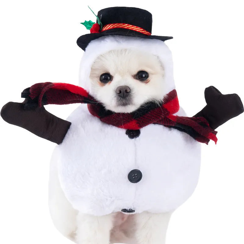 Halloween dog costume selection showing bat suit, devil outfit, and space clothing styles for pets