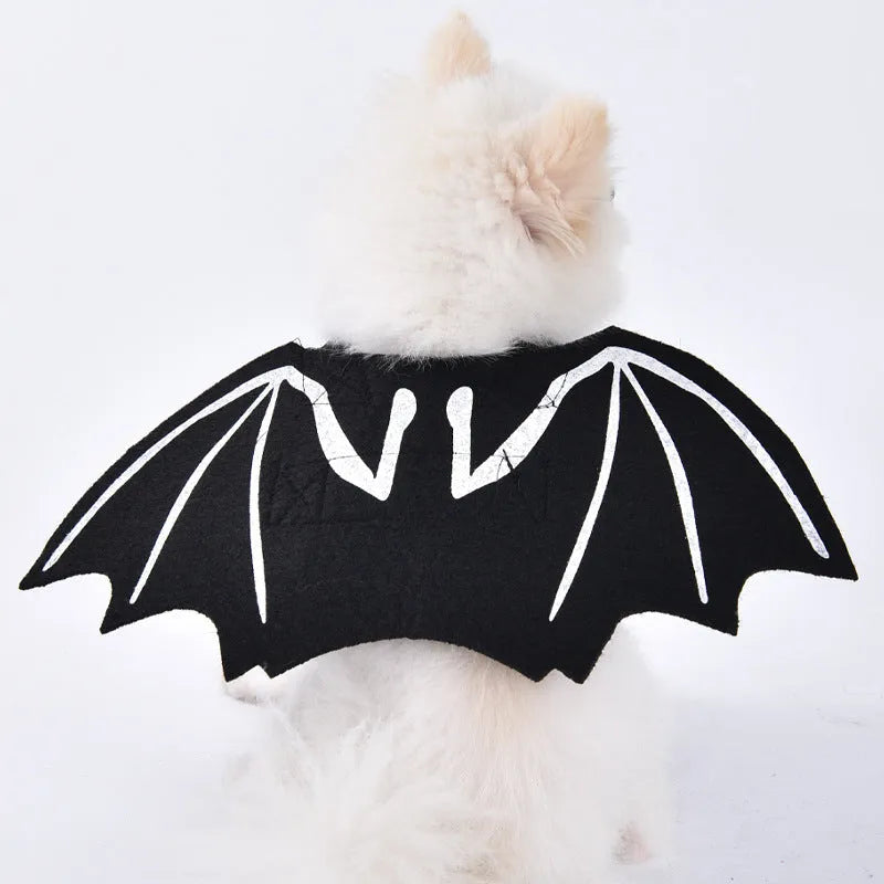Halloween dog costume selection showing bat suit, devil outfit, and space clothing styles for pets
