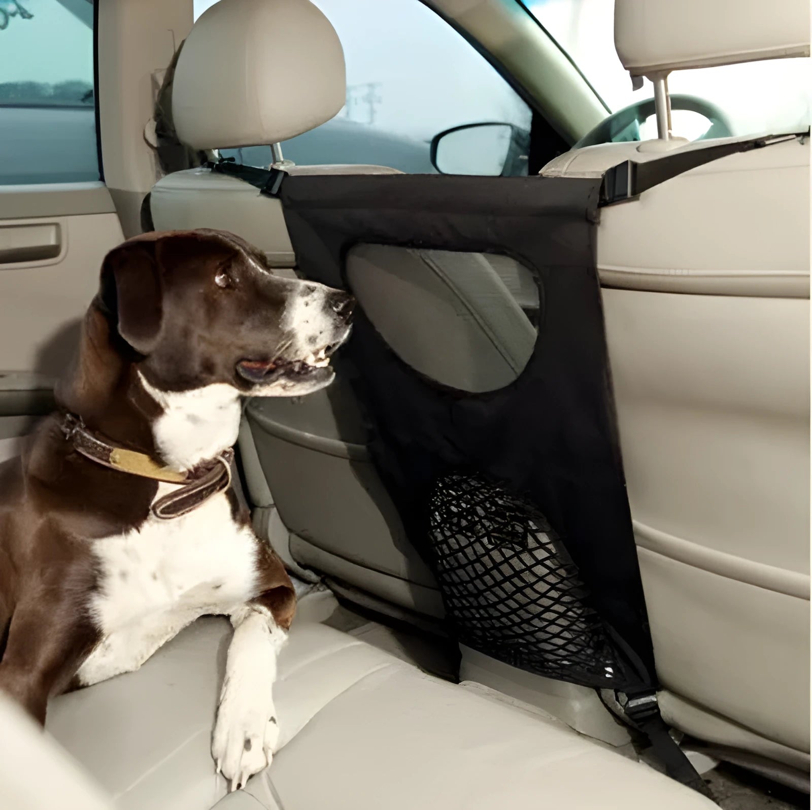 Cloth car rear seat pet guardrail in black measuring 46x69cm for dog isolation protection