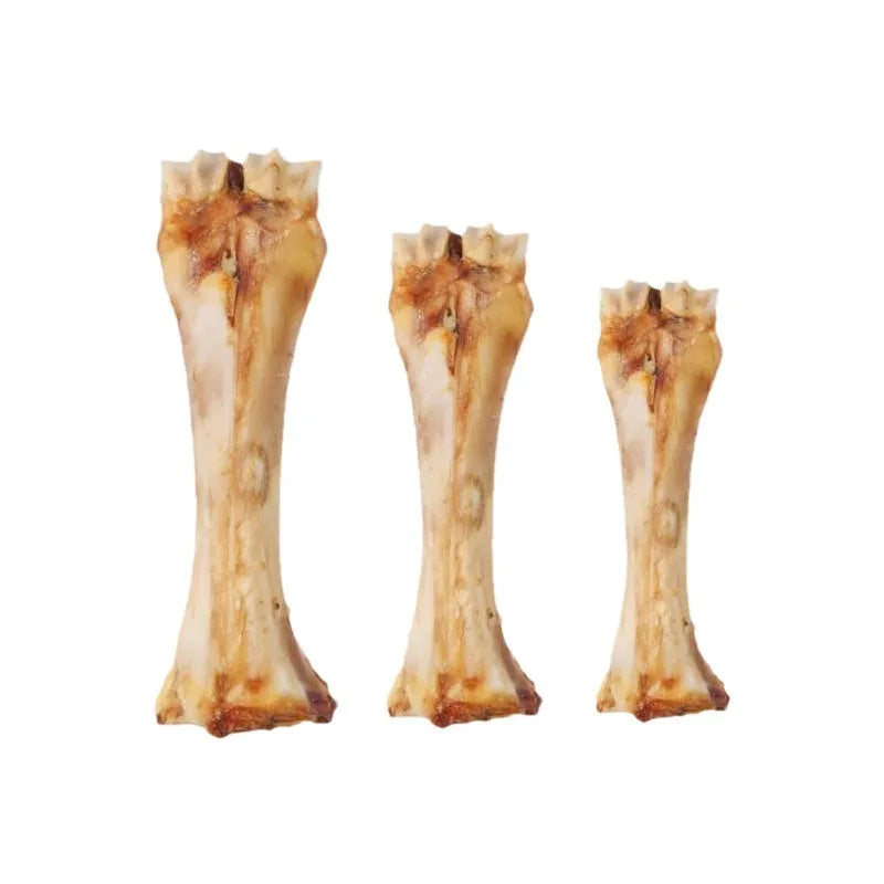 Large, Medium, and Small sized puppy molar chew rods with roasted ox bone flavour on a plain background.