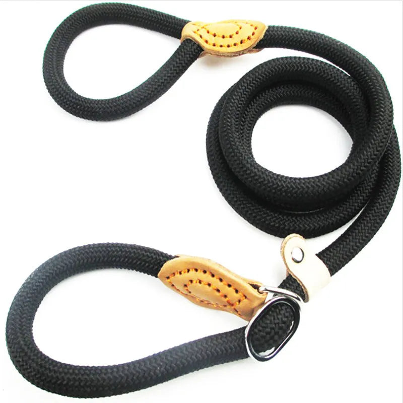 Brown nylon P-chain dog leash with hand holding rope measuring 2.1 metres long
