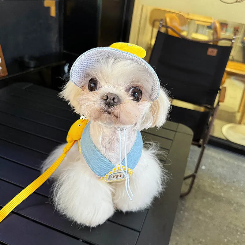 Pet summer outfit set with cat clothes, hat, and wire rope dog harness leash in bright colours
