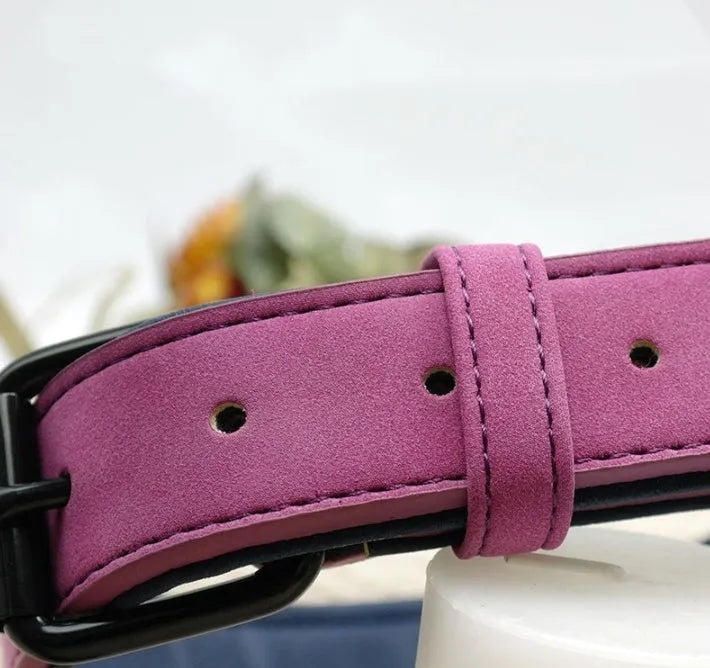 Custom dog tag identity card collar with microfiber leather surface, double D buckle, and painted alloy lock in multiple colours