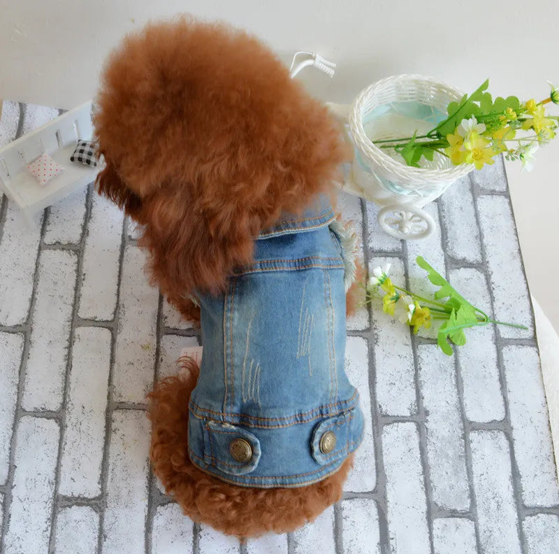 Denim dog vest with retro scratch pattern in dark and light colours for autumn winter wear