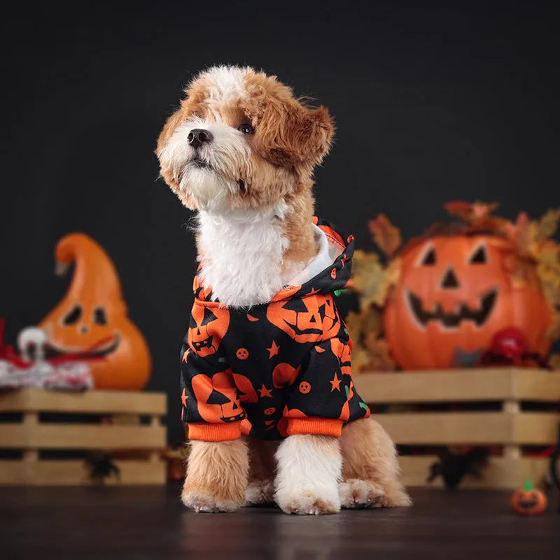 Wansheng pet pumpkin sweater in orange polyester fabric for dogs and cats sizes S to 2XL
