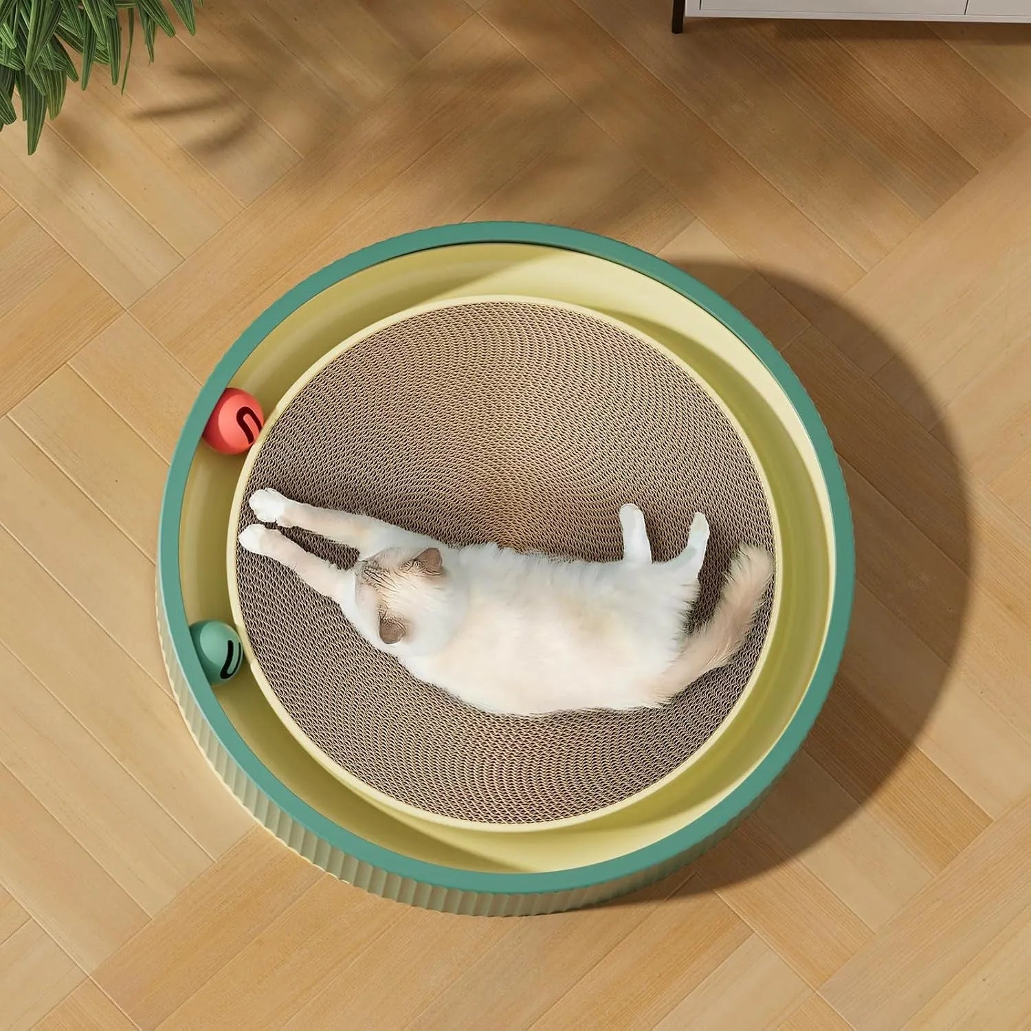 Large circular cat scratching board with bell balls and replaceable cardboard core