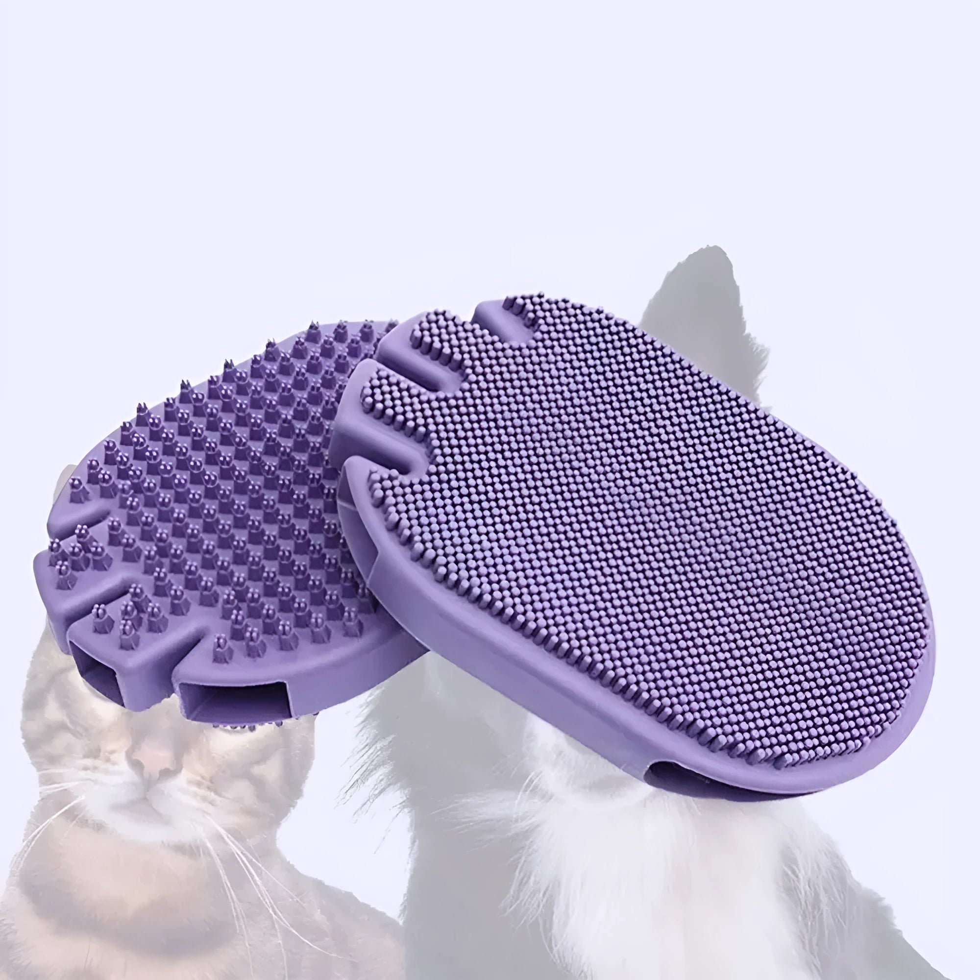 Purple dual-sided silicone pet shampoo and massage brush with soft TPR bristles