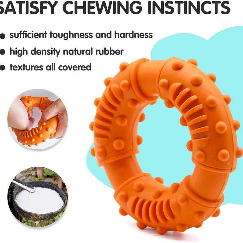 Blue hollow bouncy dog fetching stick toy for catch and chew play on grass