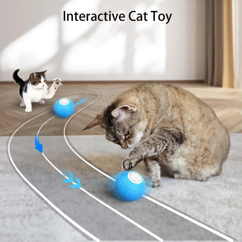 Blue remote control cat ball toy on a carpet next to its handheld remote.