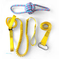 Black and yellow polyester dog training belt set for obedience sessions