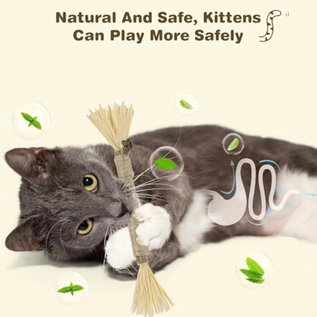 Three natural silvervine cat chew sticks with sisal rope and raffia for dental care and teeth cleaning