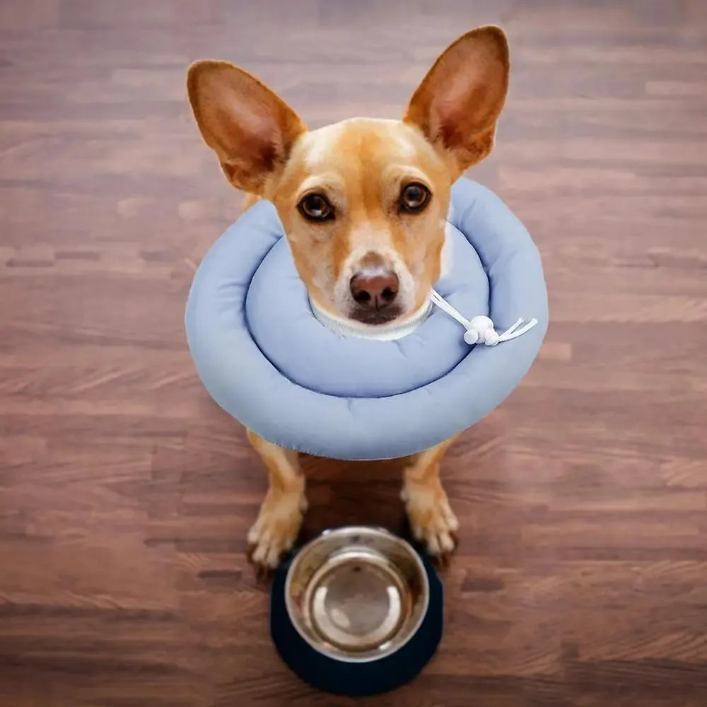 Blue adjustable waterproof Elizabethan collar for a dog showing the buckle and cone shape