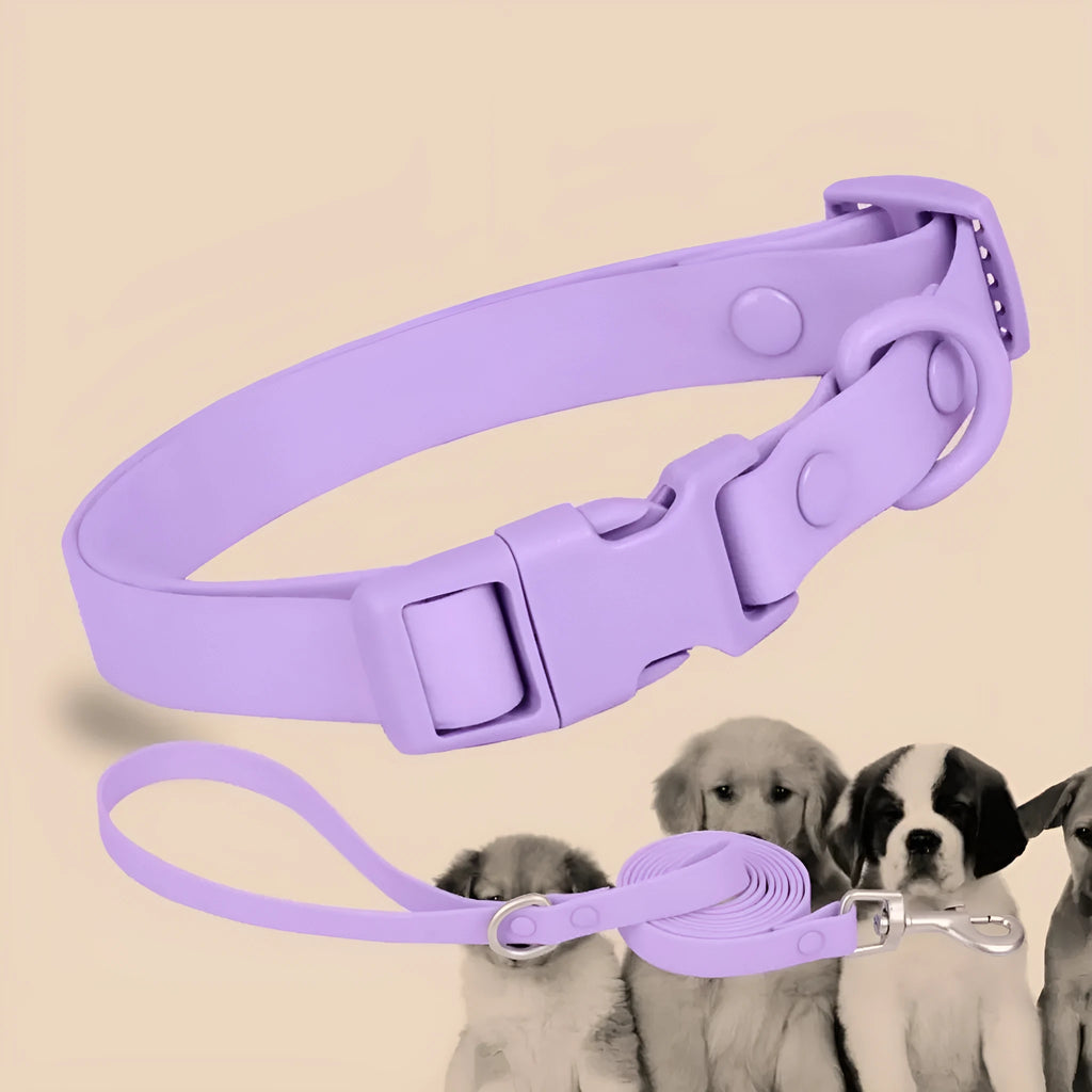 Macaron colour silicone waterproof pet leash in green, light blue, pink, purple, red, navy blue on white background