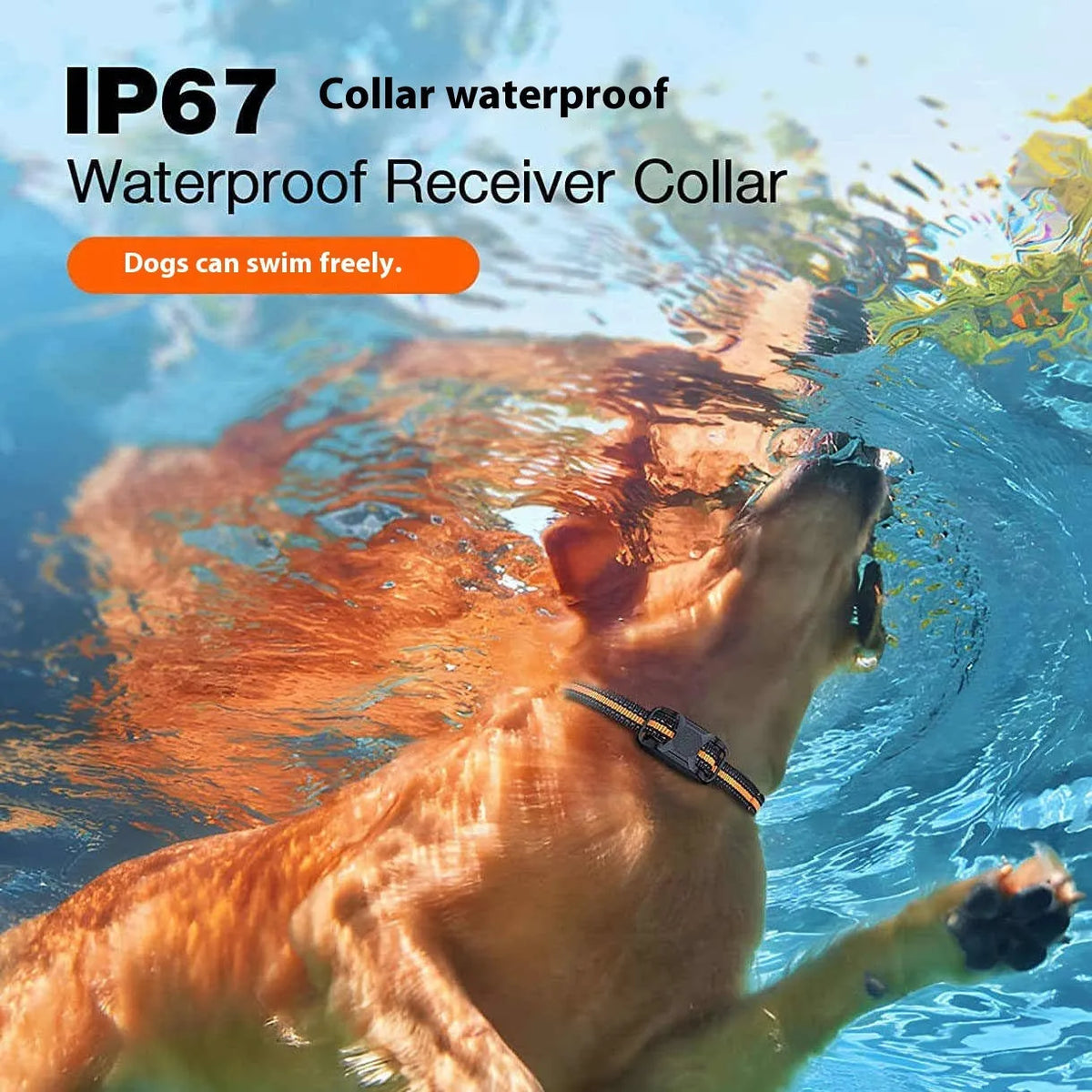Orange R1 waterproof remote control bark stopper dog training electric shock collar for single dog