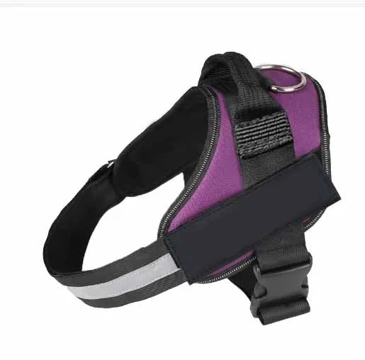 Adjustable dog harness with mesh padded vest in assorted colours, showing reflective strips and D-ring leash attachment.