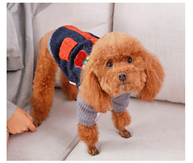 Blue cotton dog sweater on a small dog, knit texture, side view, warm pet clothing