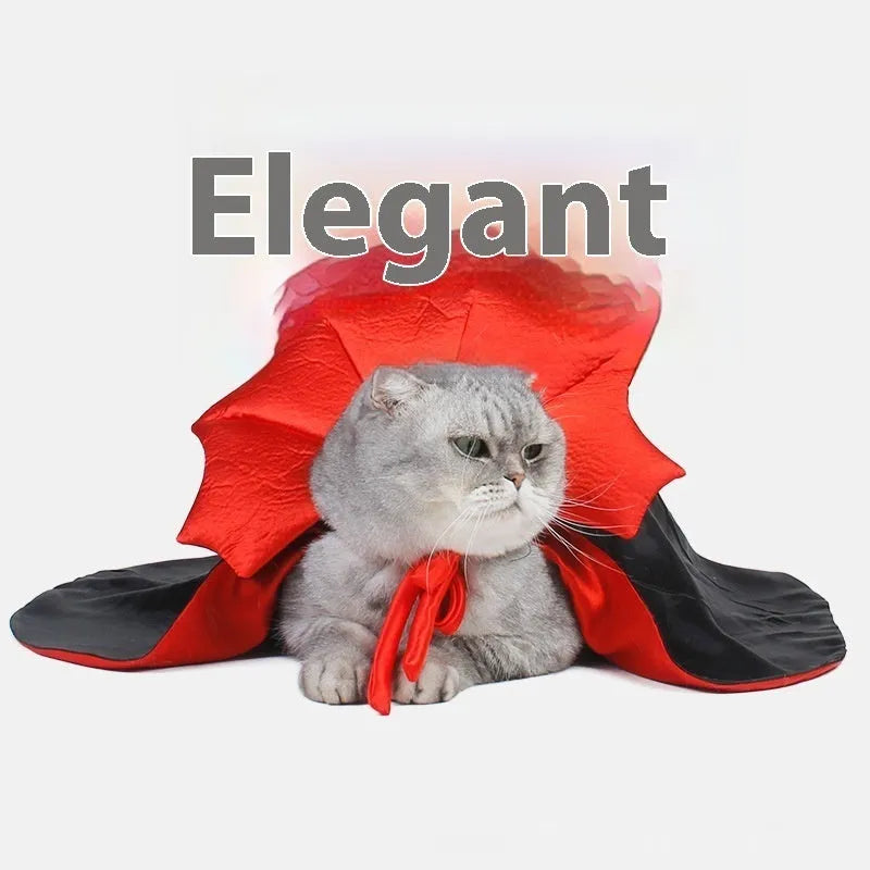 Black and red Halloween pet costume for cats and dogs with European American styling