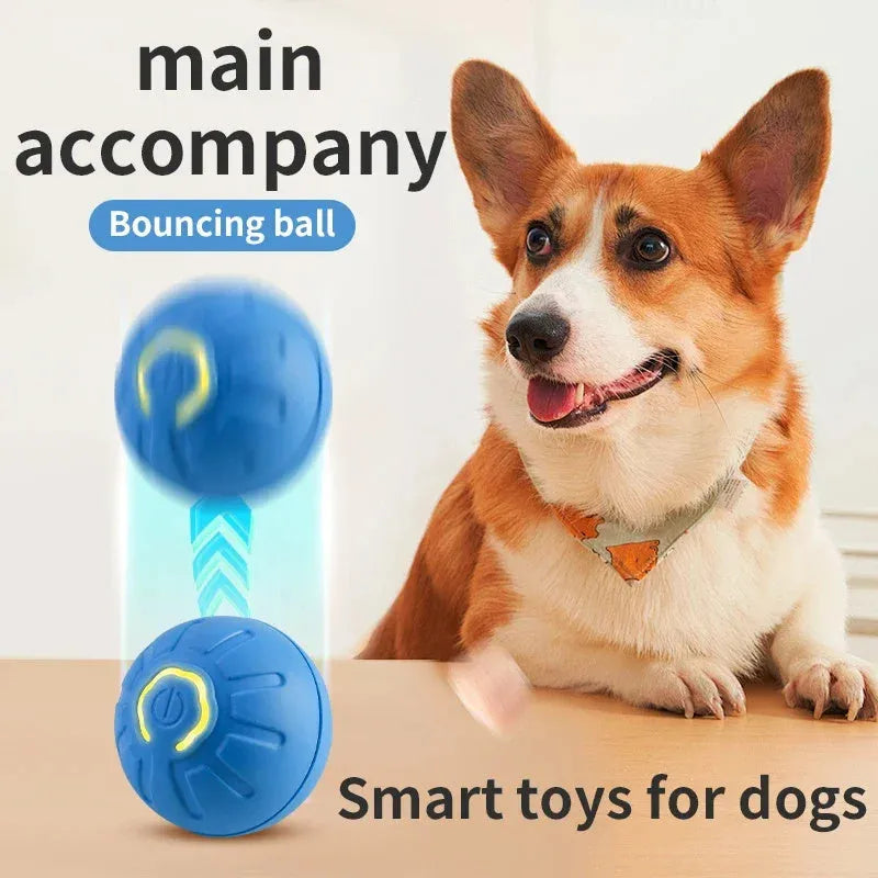 Smart dog toy ball 42mm USB automatic moving bouncing electronic pet toy in blue
