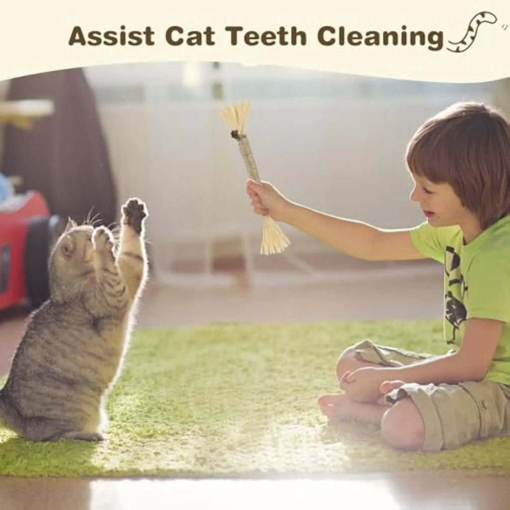 Three natural silvervine cat chew sticks with sisal rope and raffia for dental care and teeth cleaning
