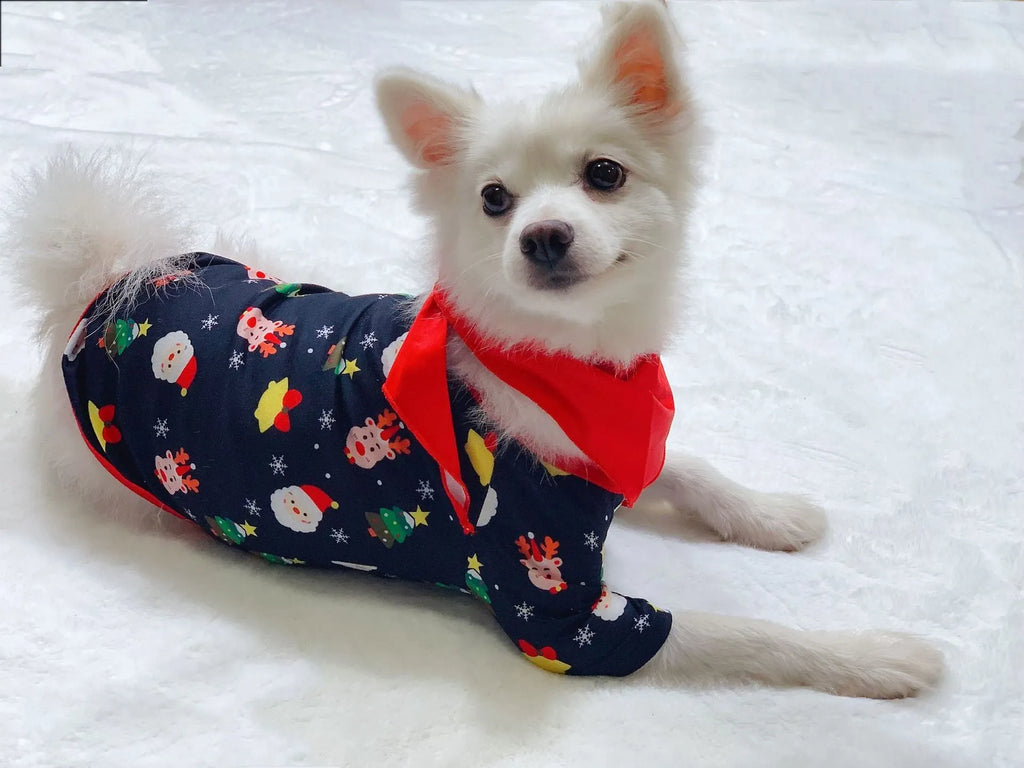 Family Christmas matching pajamas set in cotton fabric with plaid print, showing adult, child and dog sizes